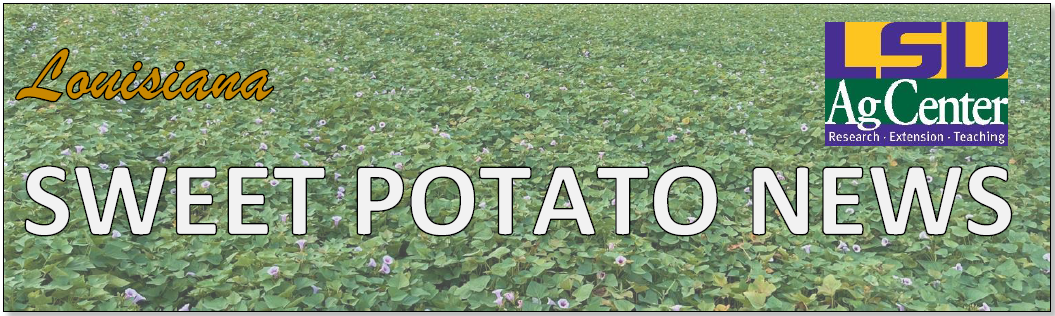 2025 Summer Issue Sweet Potato News - Vol. 20 No. 1